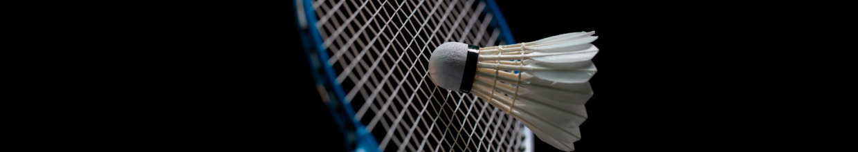 Badminton