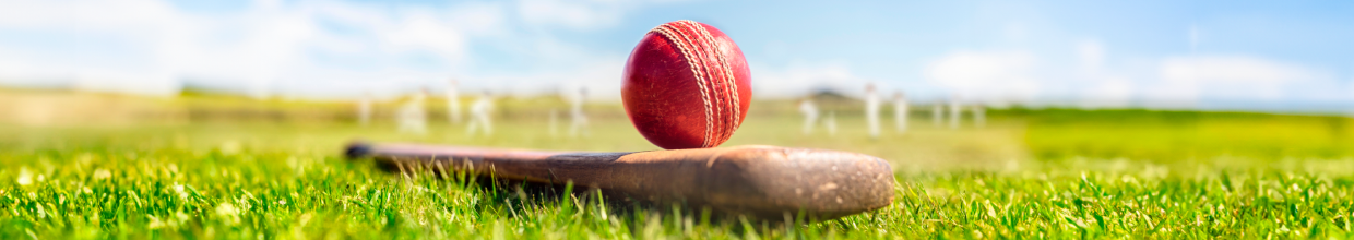 Cricket